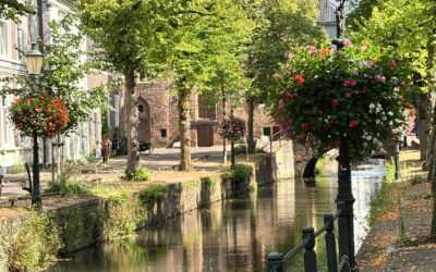 Bureau Fris zoekt respondenten in Amersfoort en omgeving