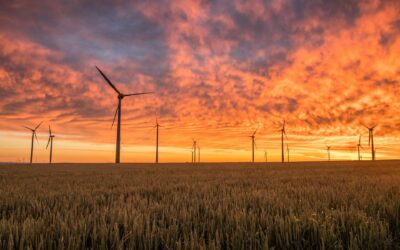 Interessant online onderzoek over de VvE en de warmtetransitie